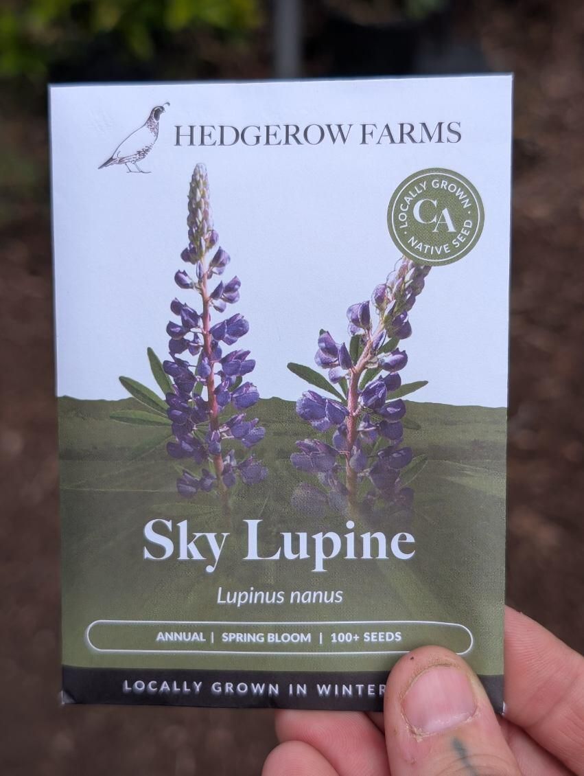 Hedgerow Farms Lupine Sky