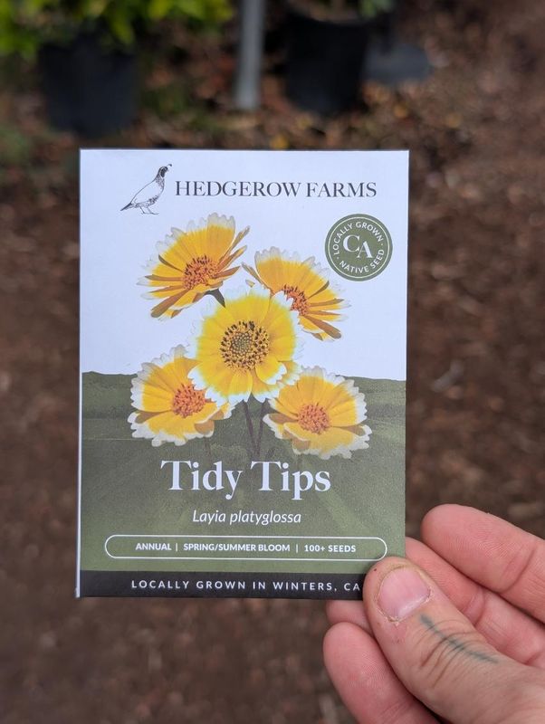 Hedgerow Farms Layia Tidy Tips