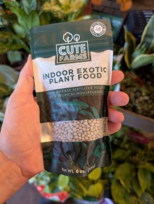 GIFTS FOR HOUSEPLANT LOVERS