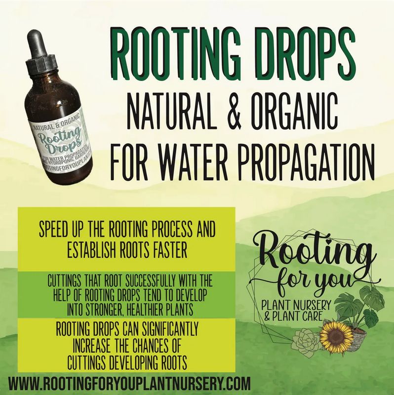 Rooting For You Plant Nursery Rooting Drops 4oz
