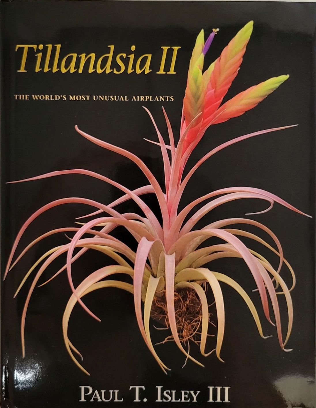 Rainforest Flora Tillandsia II - Book H10010