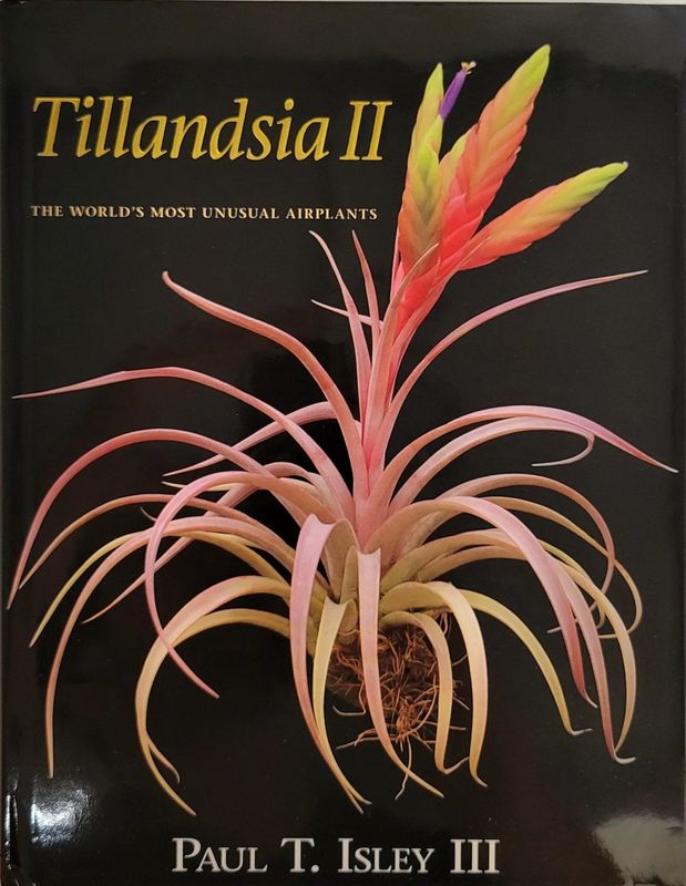 Rainforest Flora Tillandsia II - Book H10010