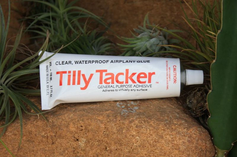 Rainforest Flora Tilly Tacker 3.7oz Glue H10030