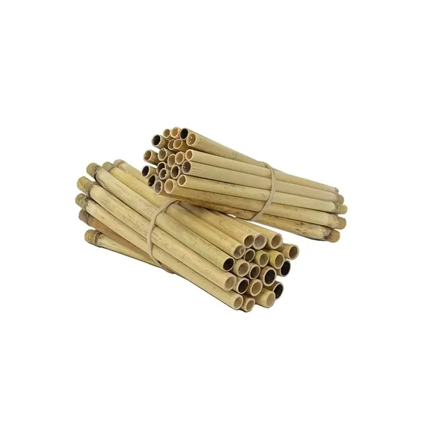 Crown Bees Pollinator Pack Wild Bees