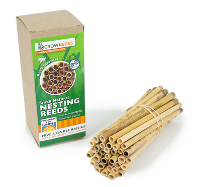 Crown Bees Summer Natural Reeds Leafcutter Bees 6mm
