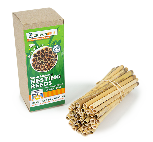 Crown Bees Summer Natural Reeds Leafcutter Bees 6mm