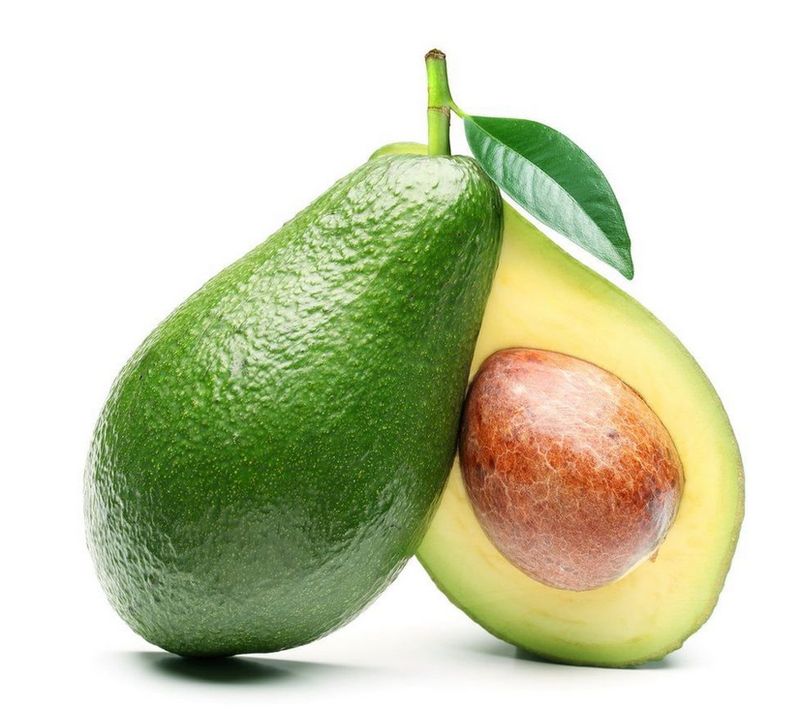 FW 5L Avocado Holiday