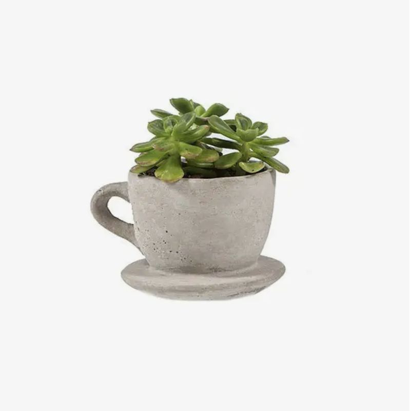VV Concrete Tea & Coffee Cup Planter CE-CUP-S