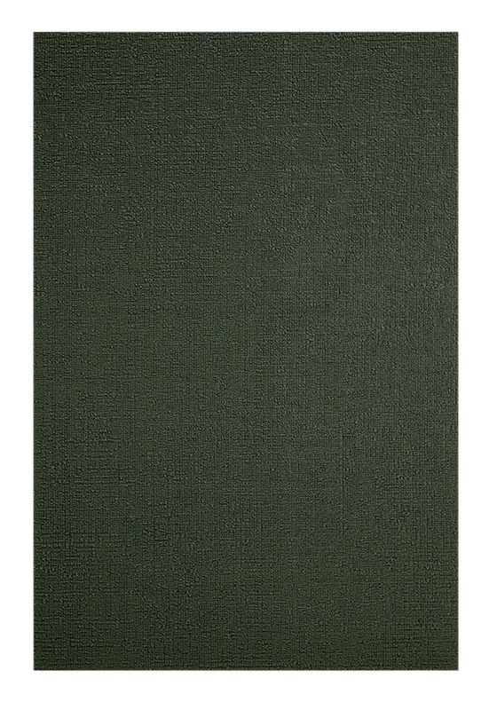 Chilewich Solid Shag Doormat 18x28 Cactus