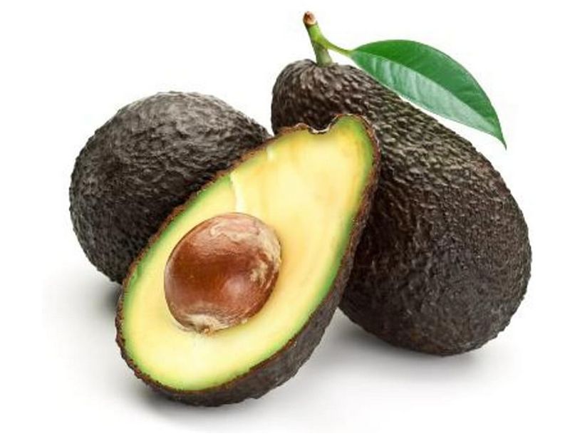 FW 5L Avocado Stewart