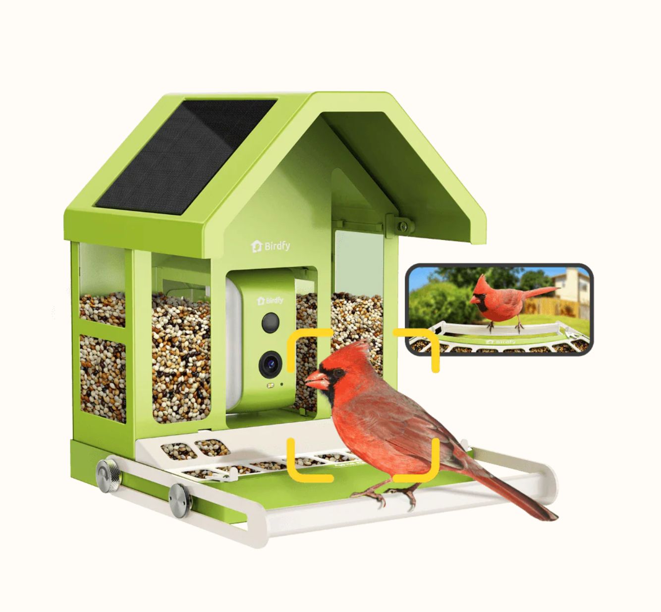 Birdfy Smart Feeder