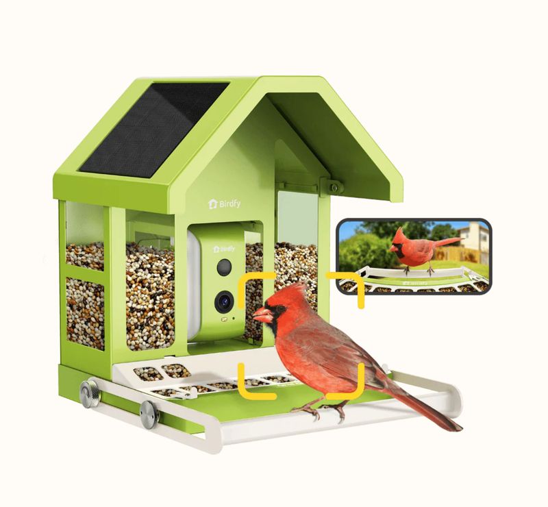 Birdfy Smart Feeder