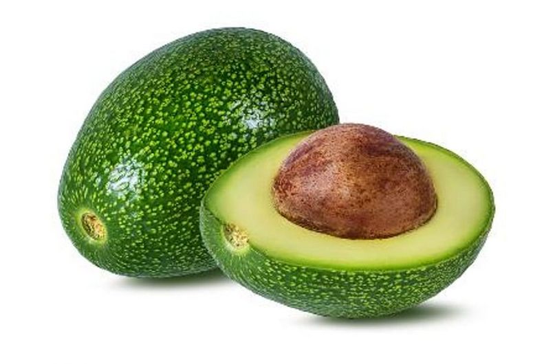 FW 5Gal Avocado Little Cado