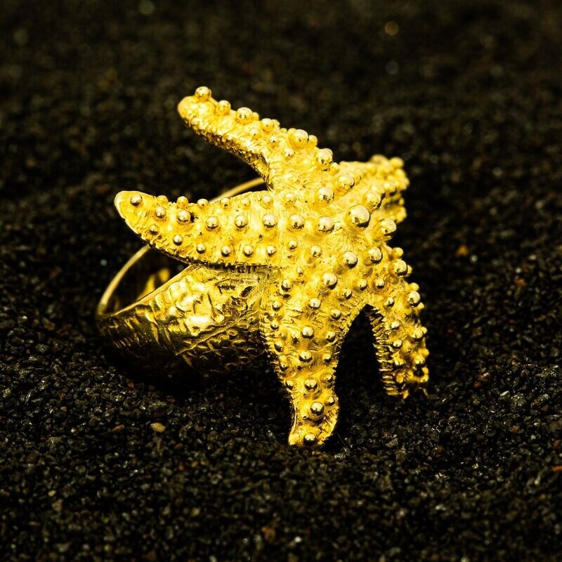 Anello in argento 925 dorato_SA5