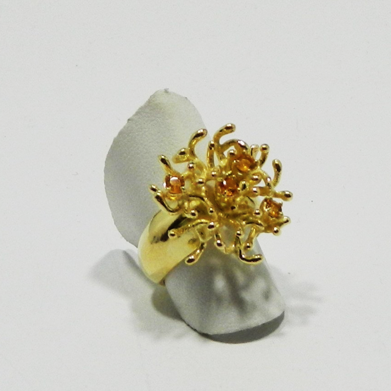 Anello_L16A2
