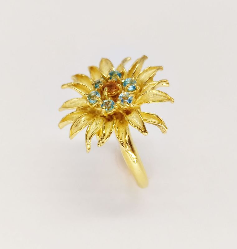 Anello_L66A1