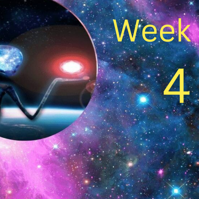 Mentoring Into Mastery-Week-4