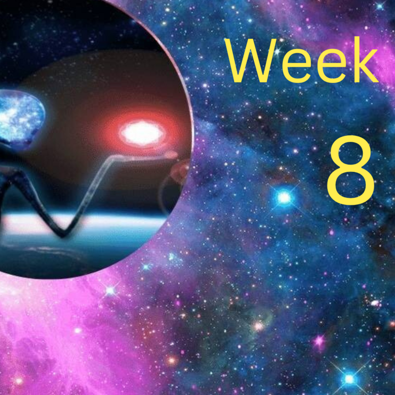 Mentoring Into Mastery-Week-8