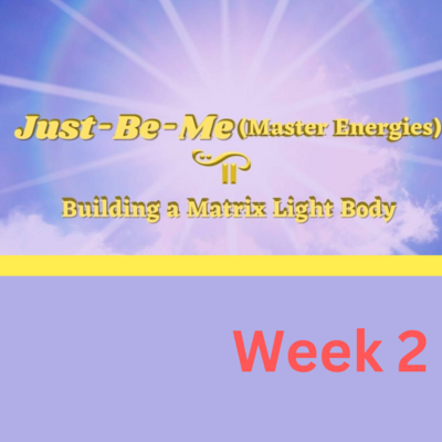 Building a Matrix Light Body-Week-2