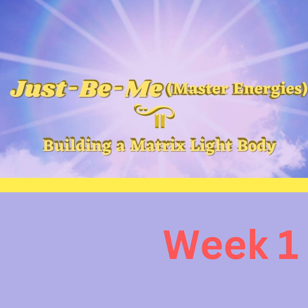 Building a Matrix Light Body-Week-1