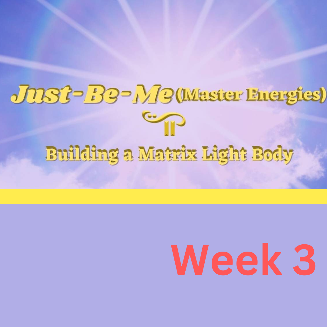 Building a Matrix Light Body-Week-3