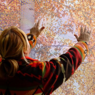 Masters Speak about ME Introduction Masters Speak about ME Introduction