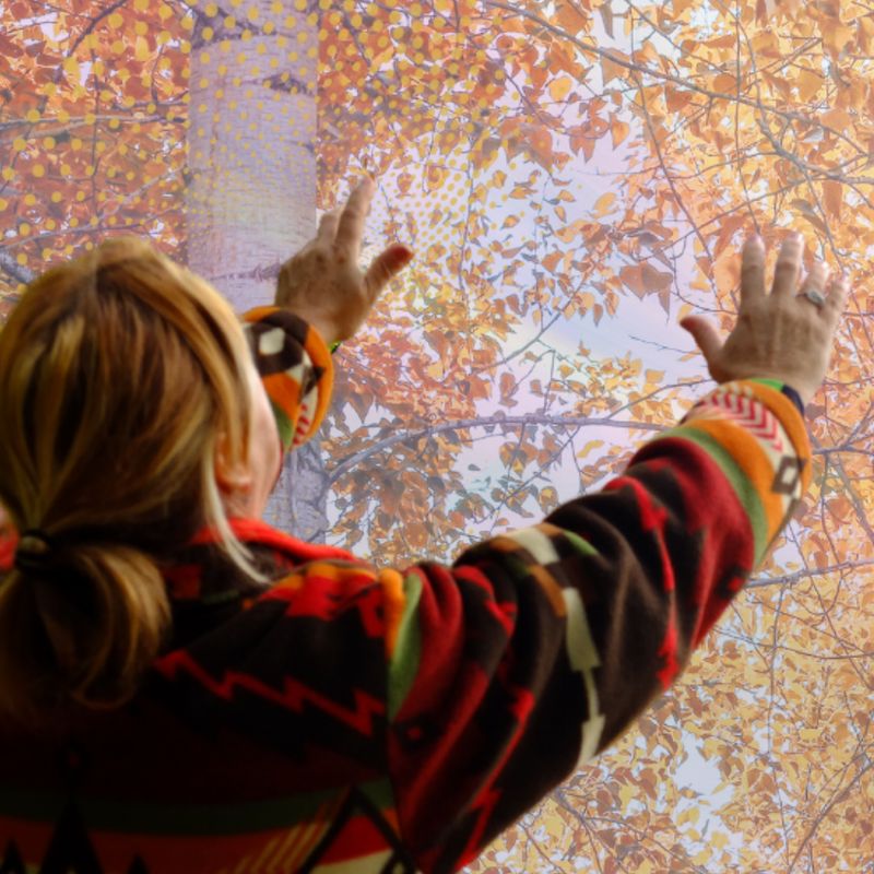 Masters Speak about ME Introduction