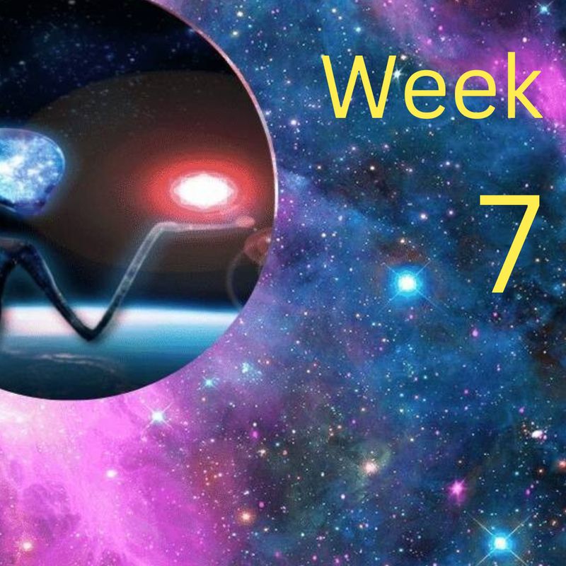 Mentoring Into Mastery-Week-7