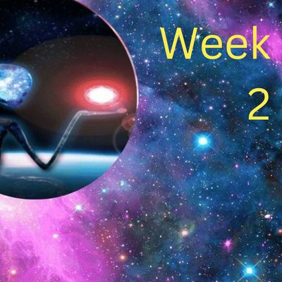 Mentoring Into Mastery-Week-2