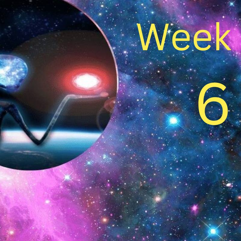 Mentoring Into Mastery-Week-6