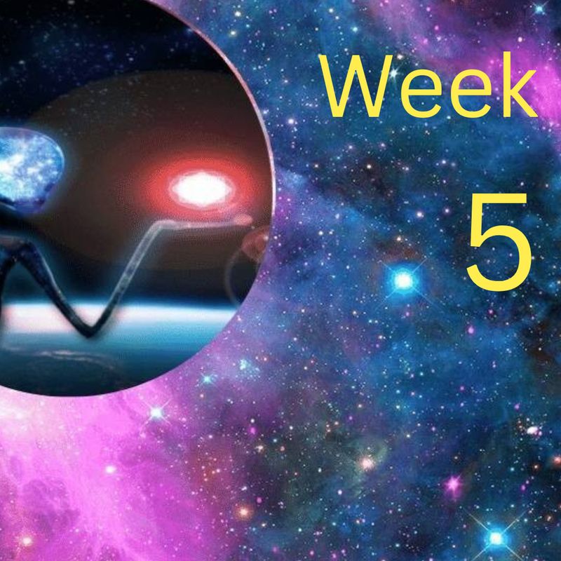 Mentoring Into Mastery-Week-5