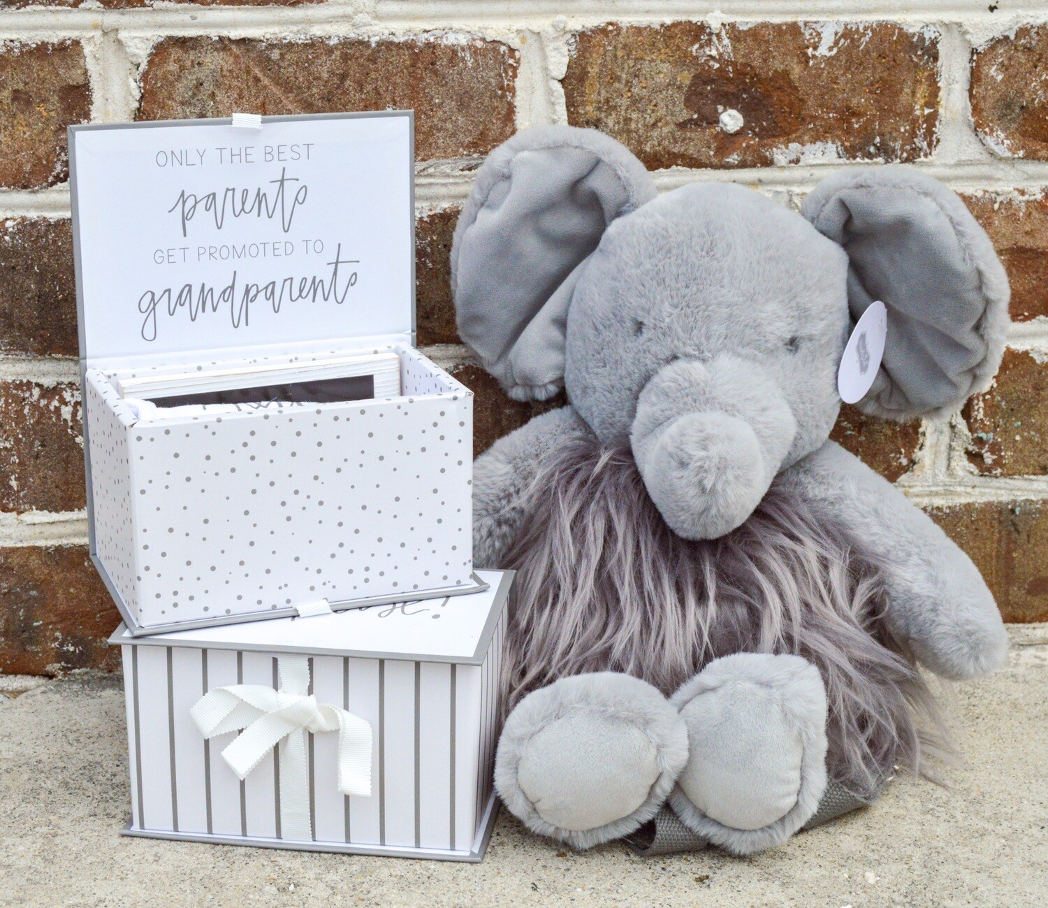 Pregnancy Announcement Gift Set