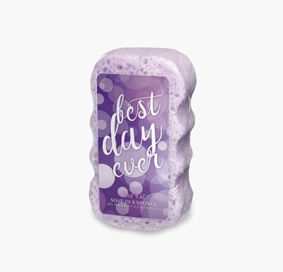 Caren Soap In A Sponge -Purple 3.5oz.