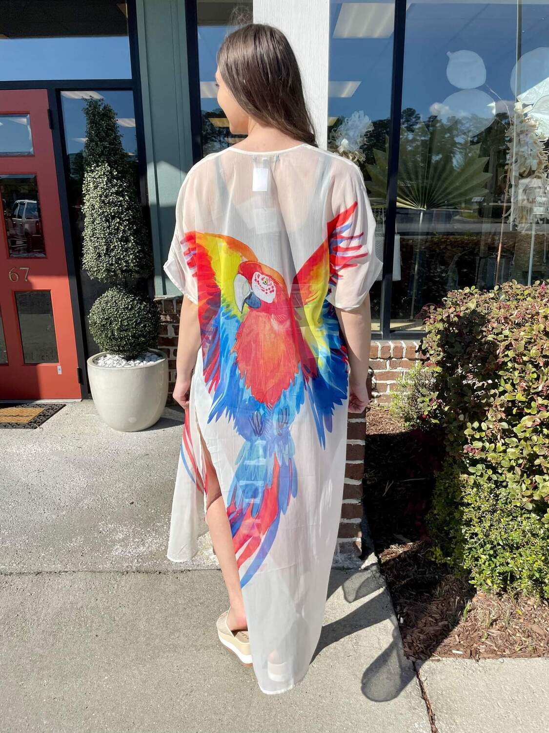 Parrot In Paradise Cover Up