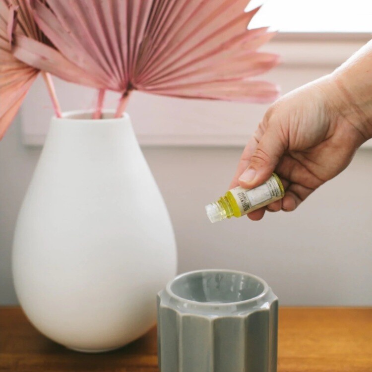 Sweet Grace Home Fragrance Oil 