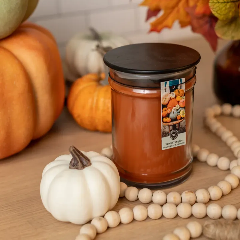 Bridgewater Harvest Pumpkin Small Jar Candle 8.8oz.
