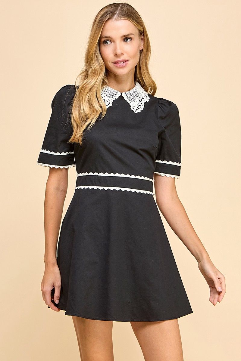 Chic Fit N Flare Dress