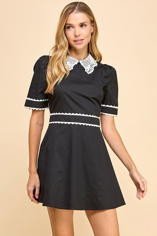 Chic Fit N Flare Dress