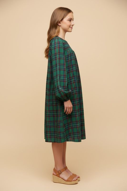 Sasha Plaid Dress