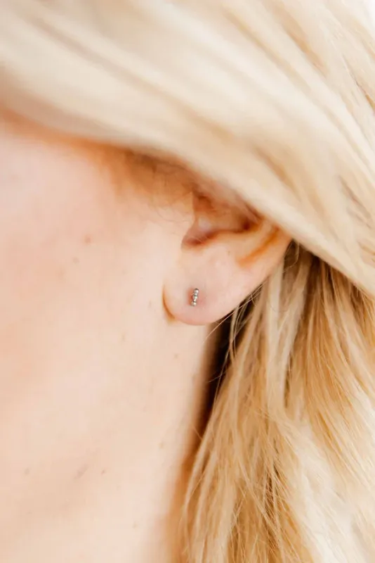 Linny Co Screwback Stud Earrings - Micro Tally Silver