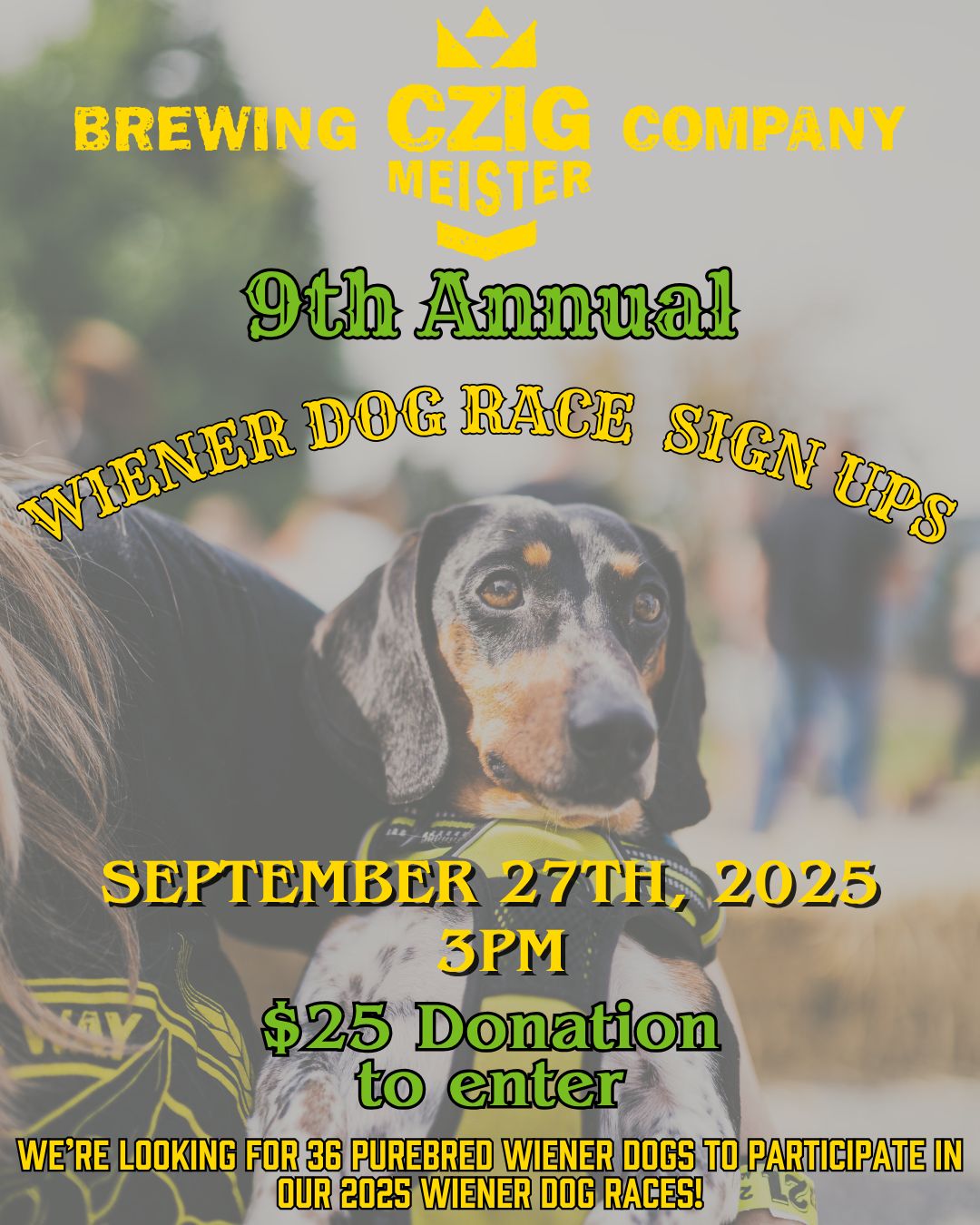 Wiener Dog Race Donation