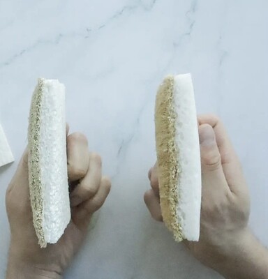 Eco Sponge 