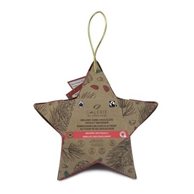 Galerie - Chocolate Star Ornament 