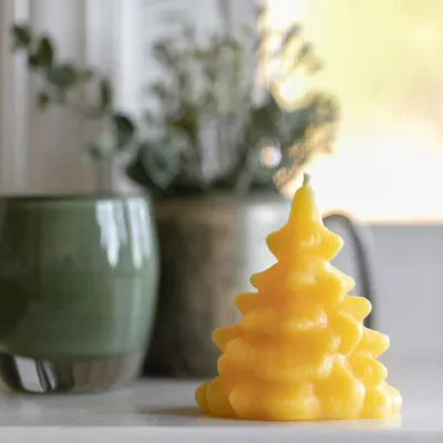 Beeswax Works - Spruce Tree Candle