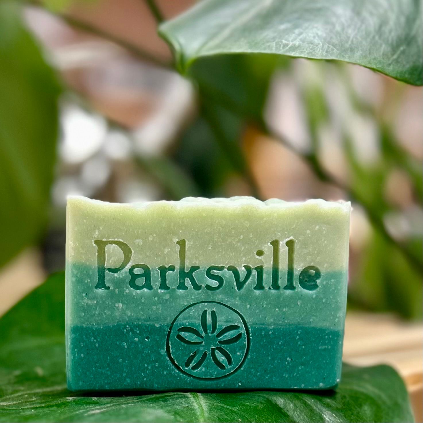 Parksville Soap