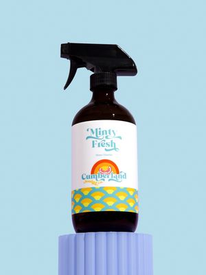 Cumberland Cleaning - Minty Fresh Glass Cleaner