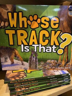 Whose Track Is That