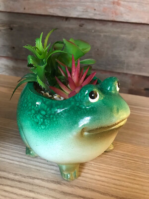 Ceramic Succulent Frog Planter