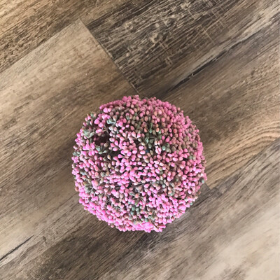 Pink Mulberry Ball