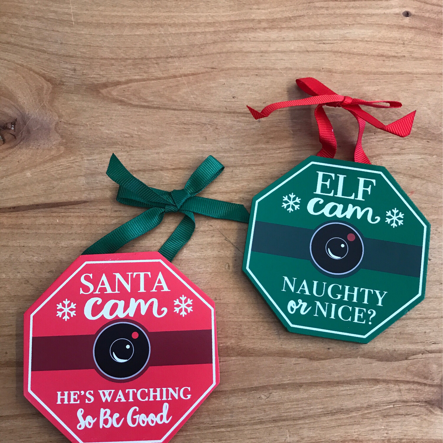 Elf & Santa Cam Ornament